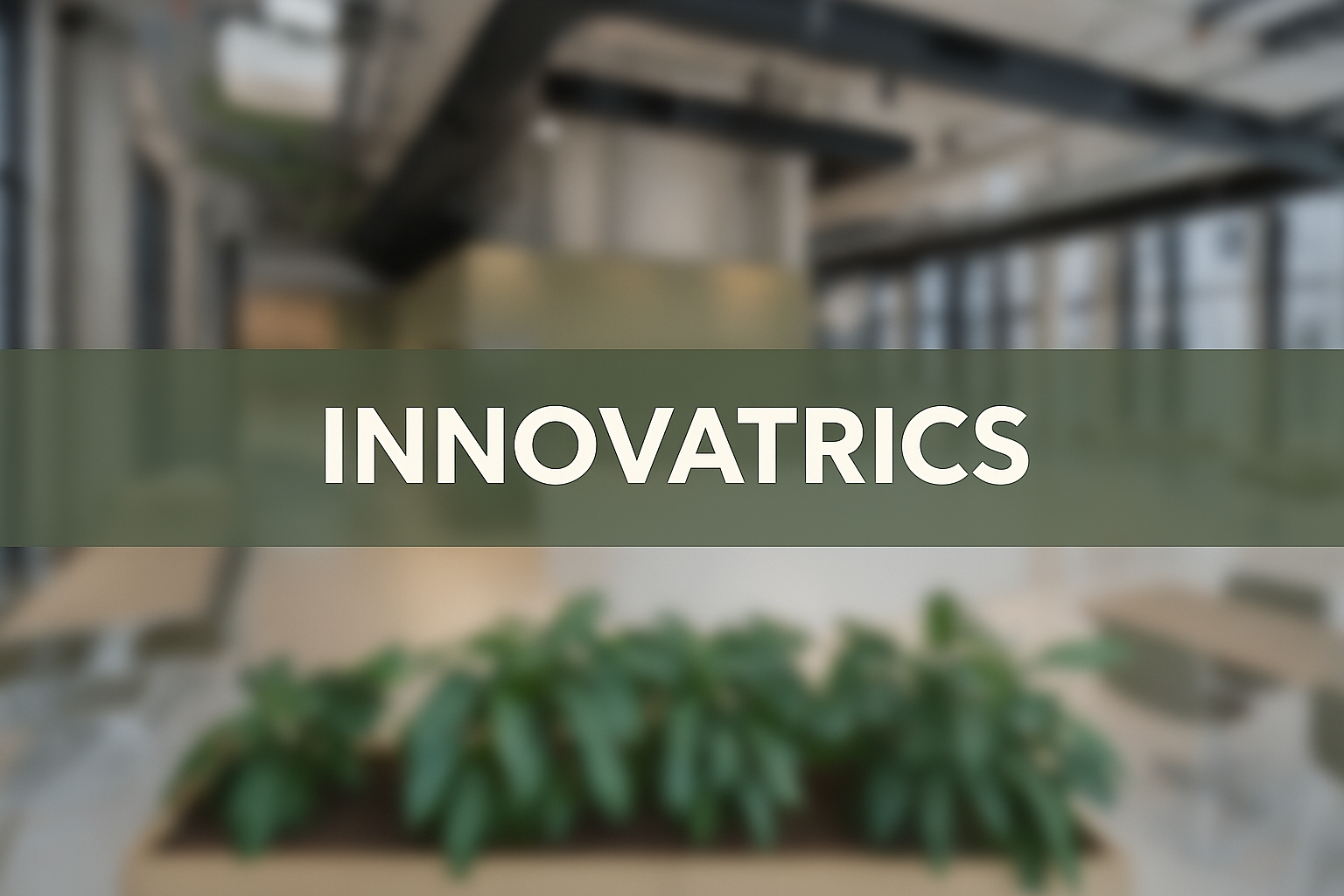 Innovatrics workspace